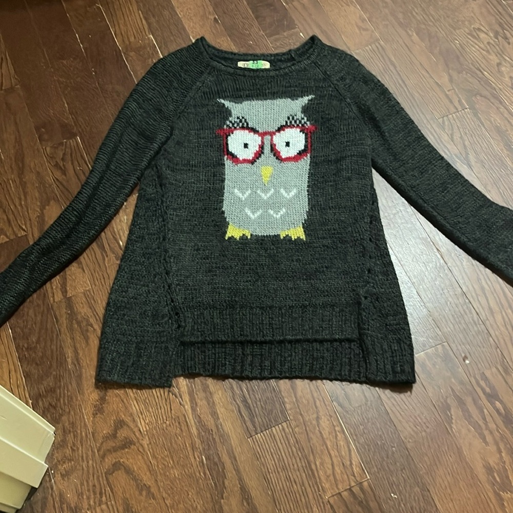 Democracy owl sweater